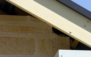 soffit repair Nether St